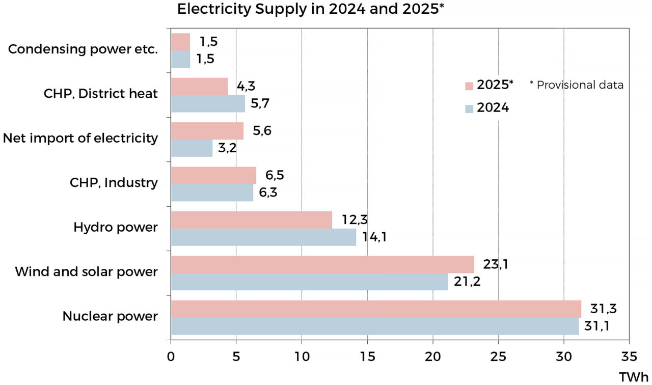 Electricity Supply in 2024 and 2025