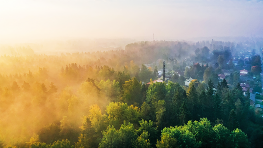 Syksyinen ilmakuva metsästä ja asumalähiöstä