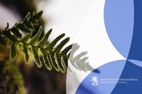 Luontopositiivisuus valtioneuvoston kanslia