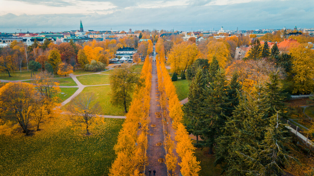 Syksyinen kaupunkipuisto, jossa puiden reunustama kävelyreitti kulkee kohti kaupunkikeskustaa.