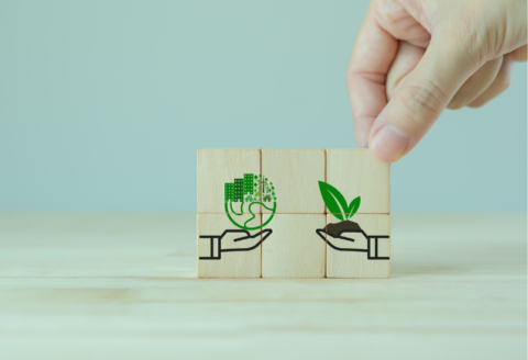 palikat joissa ekologisuutta kuvat kuvat.